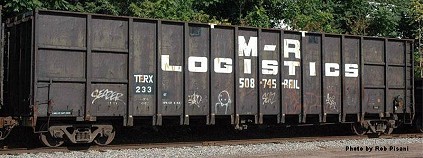 DeLuxe Innovations MR Logistics Wood Chip Car